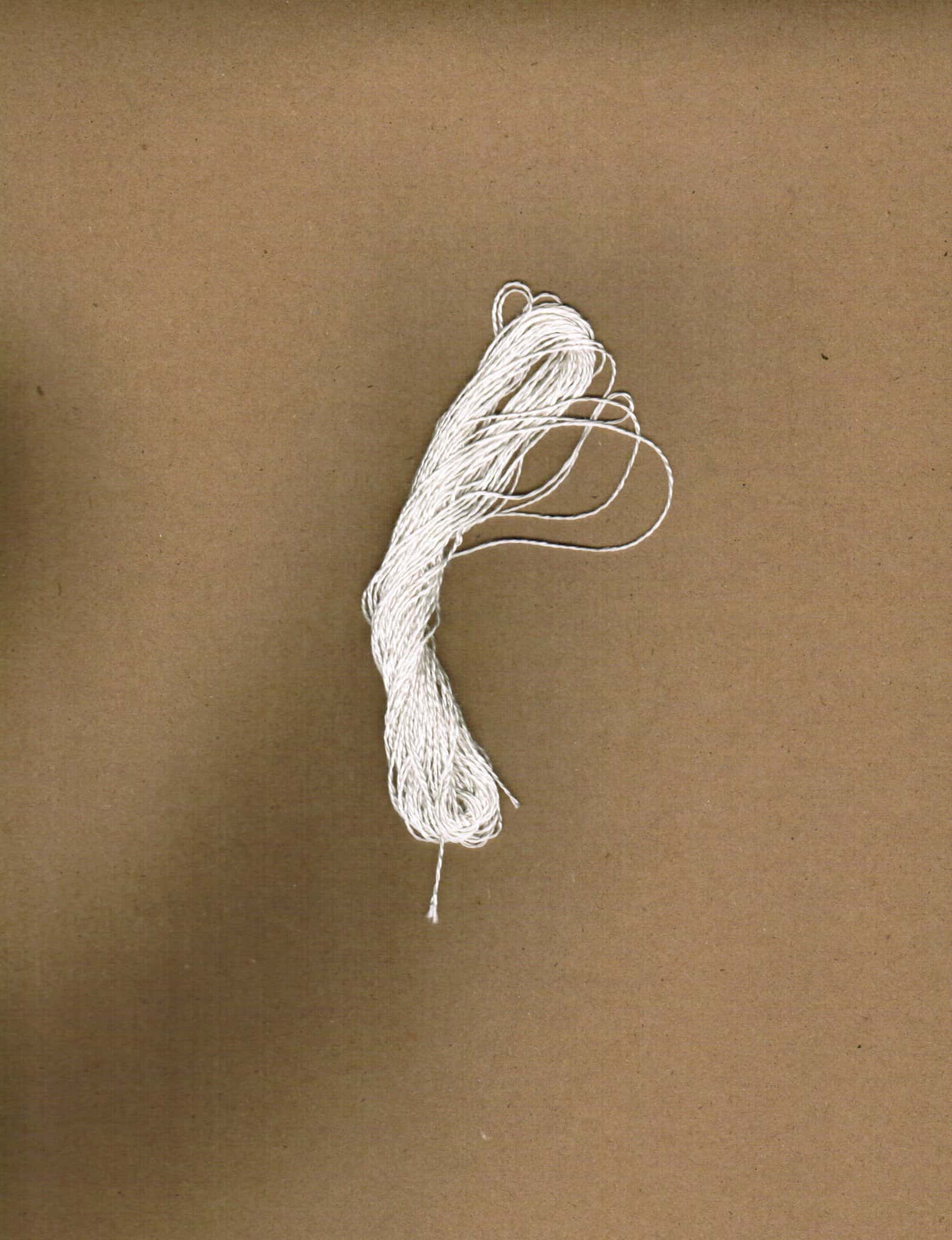 Spun Silk 20/2 main image